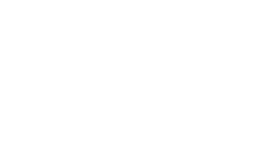 Auto Data